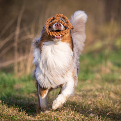 Pretzel - Award-Winning 100% Cotton Rope Dental Toy