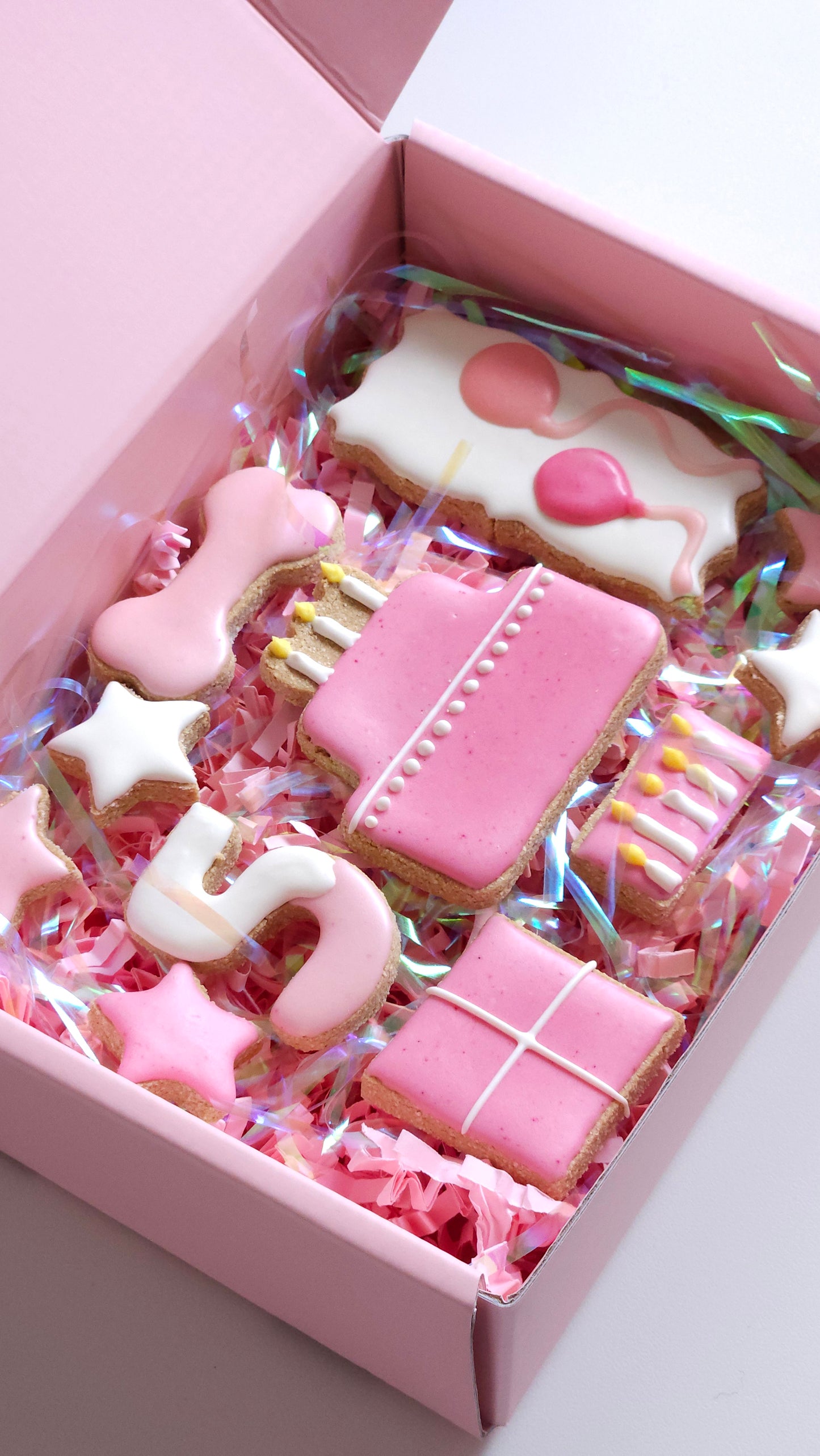 Celebration Box - Regular (10 Dog Biscuits) - Blue or Pink - Gift Packaging