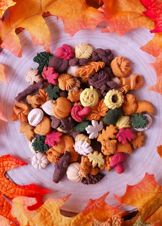 Autumn Minis for Minis - Dog Treats (40g)