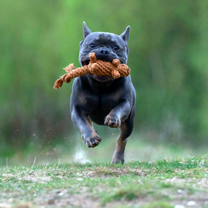 Stan the Squirrel - Award-Winning 100% Cotton Rope Toy