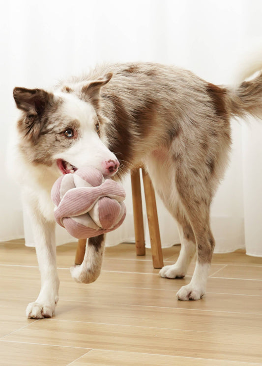 MONTI (12.7cm) - Crinkly & Squeaky Enrichment/Snuffle Ball