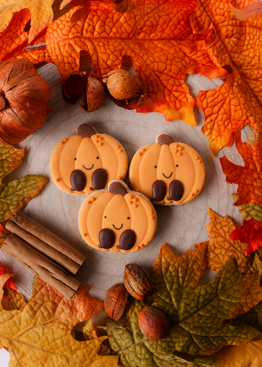 Smiley Pumpkins  - Dog Biscuits (x3)