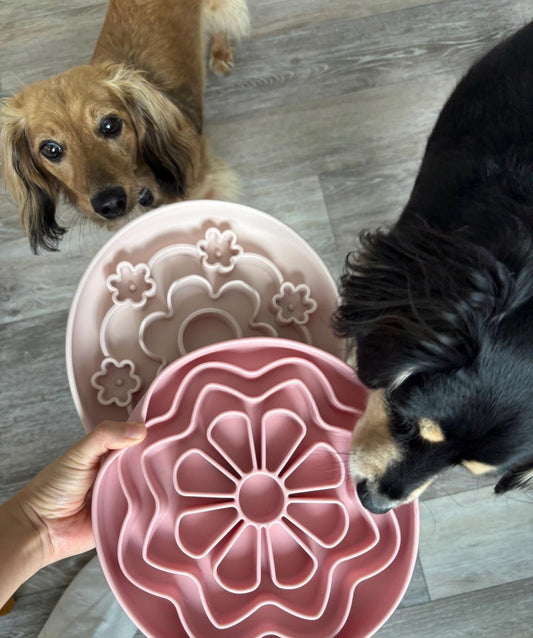 Geometric Flower - Enrichment Bowl
