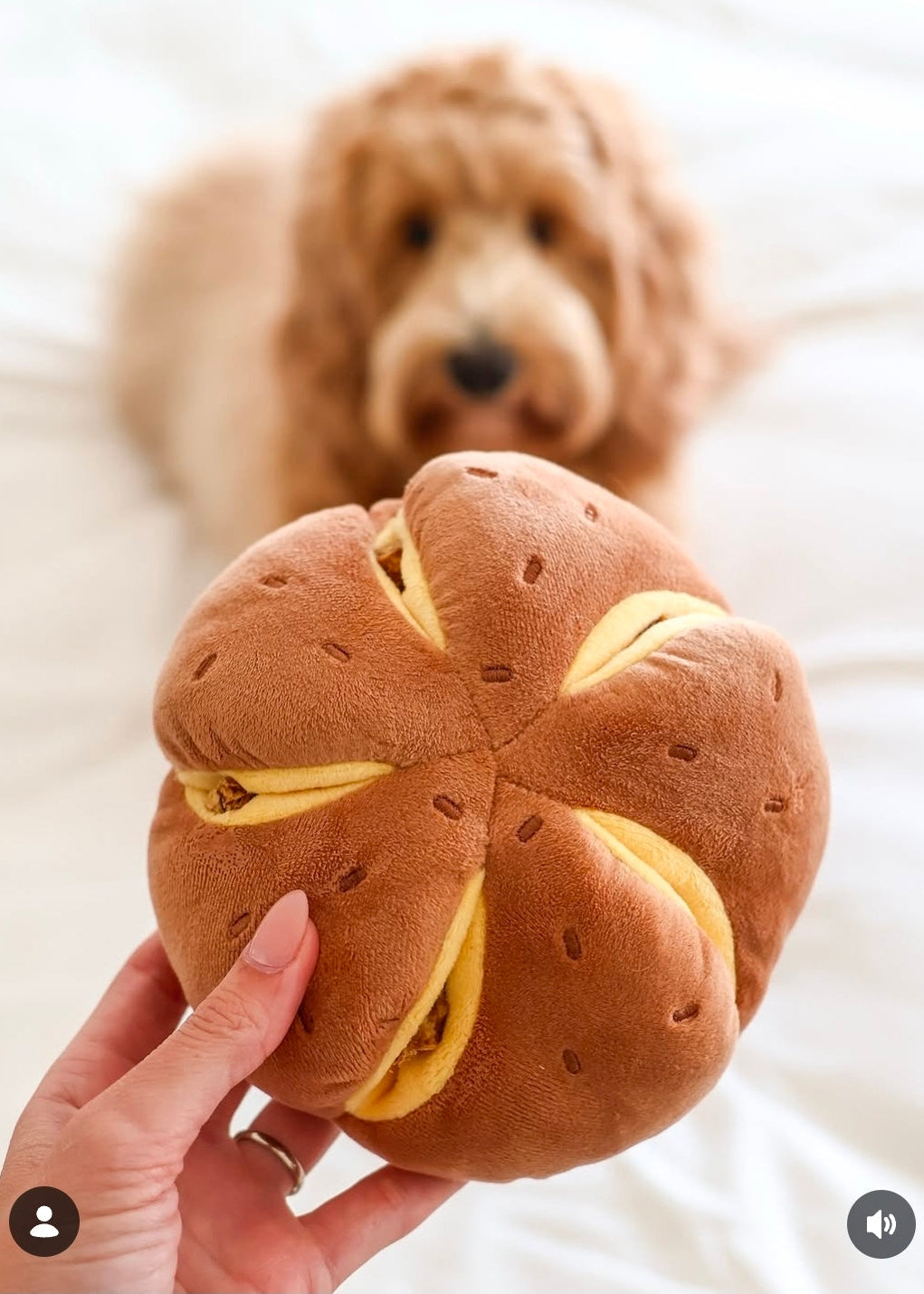 Cheesy Bread - Snuffle/Enrichment Toy (Silent)