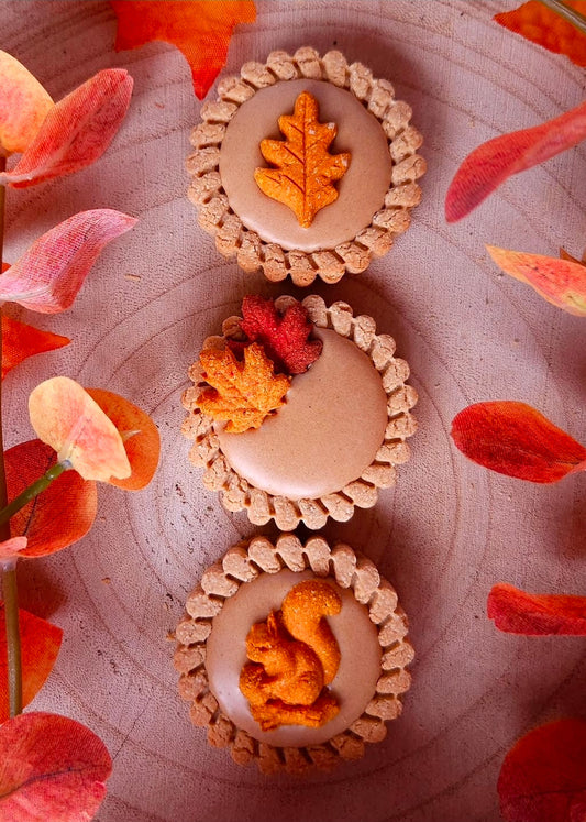 Autumn Tarts - Dog Biscuits (x3)