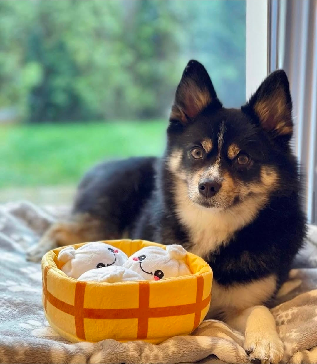 Dumplings - 4-Piece Enrichment/Snuffle Toy