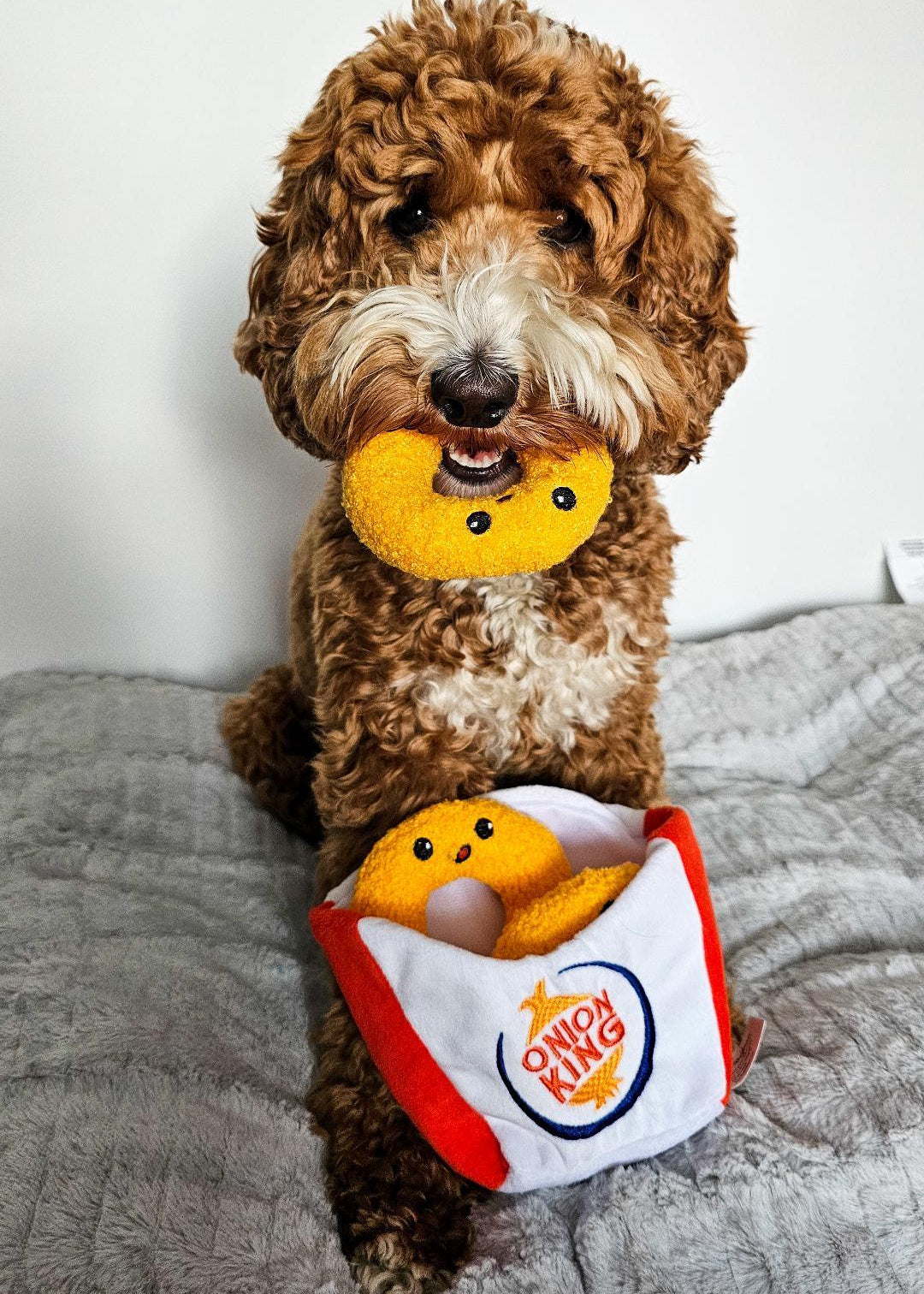 Onion Ring - 4-Piece Enrichment/Snuffle Toy