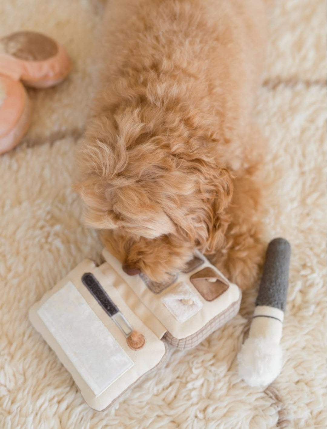Eyeshadow Palette - Snuffle/Enrichment Toy
