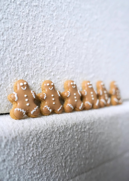 Mini Gingerbread Man - Dog Treats (65g) | (Jar Not Included)