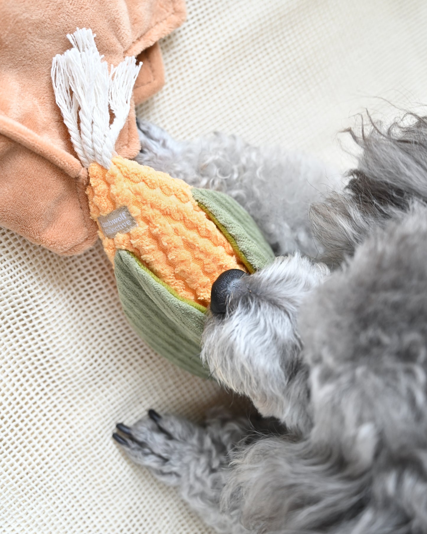 Small Corn & Leek Set - Enrichment/Snuffle Toys