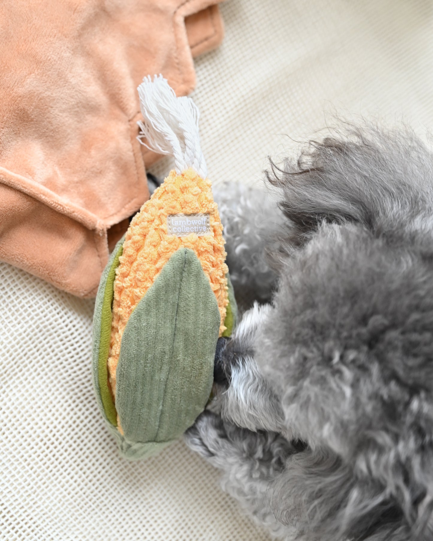 Small Corn & Leek Set - Enrichment/Snuffle Toys