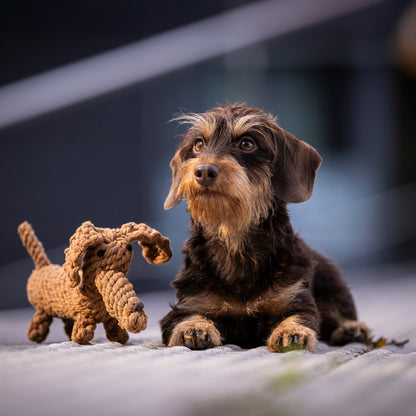 Diego the Dachshund - Award-Winning 100% Cotton Rope Dental Toy