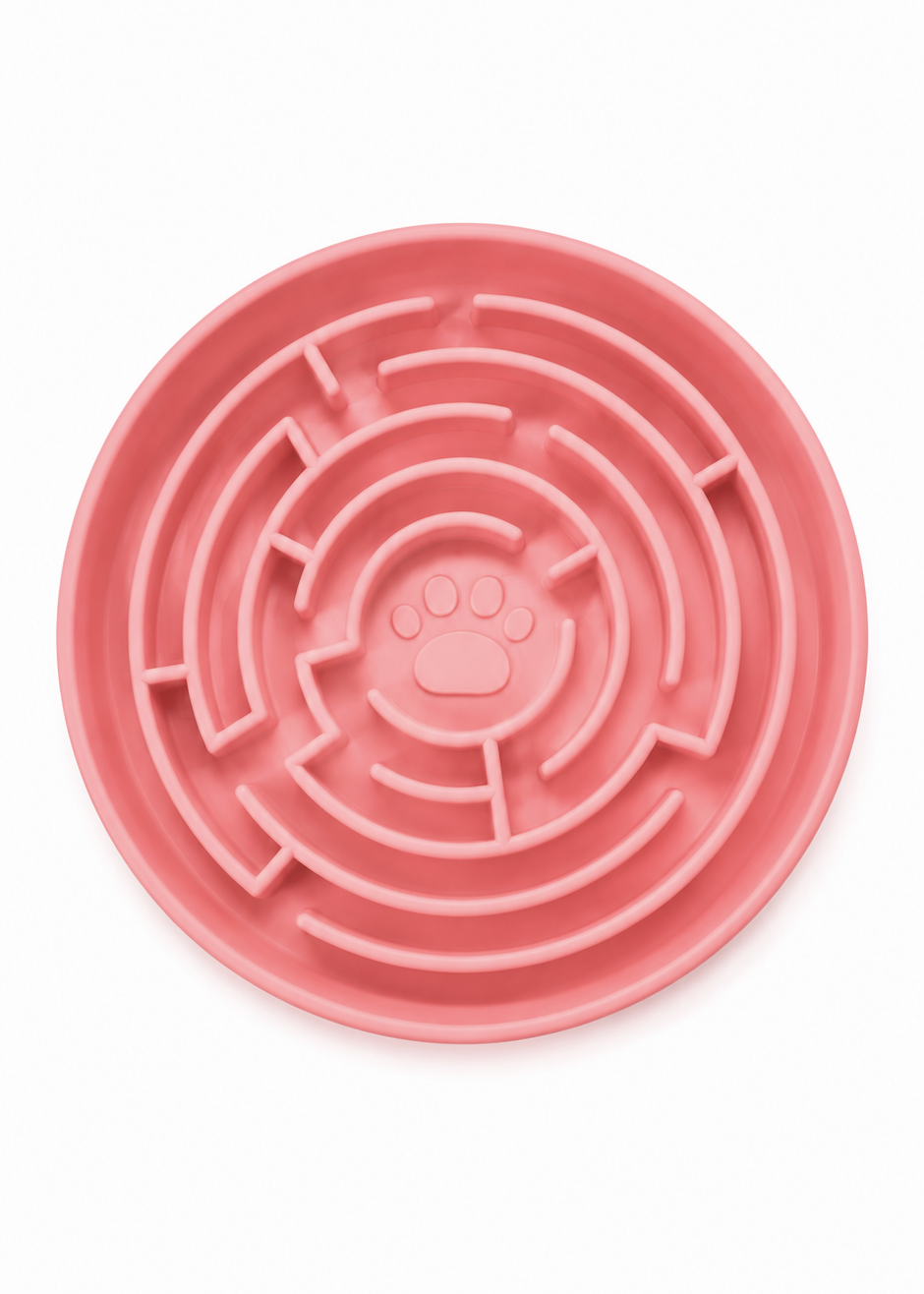 Maze - Enrichment Bowl