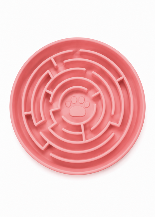 Maze - Enrichment Bowl