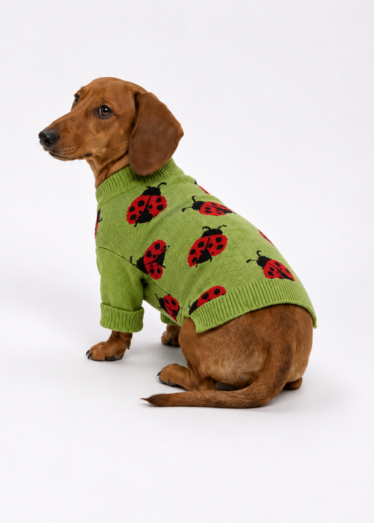 Ladybug Knit Jumper - Sizes XS - L