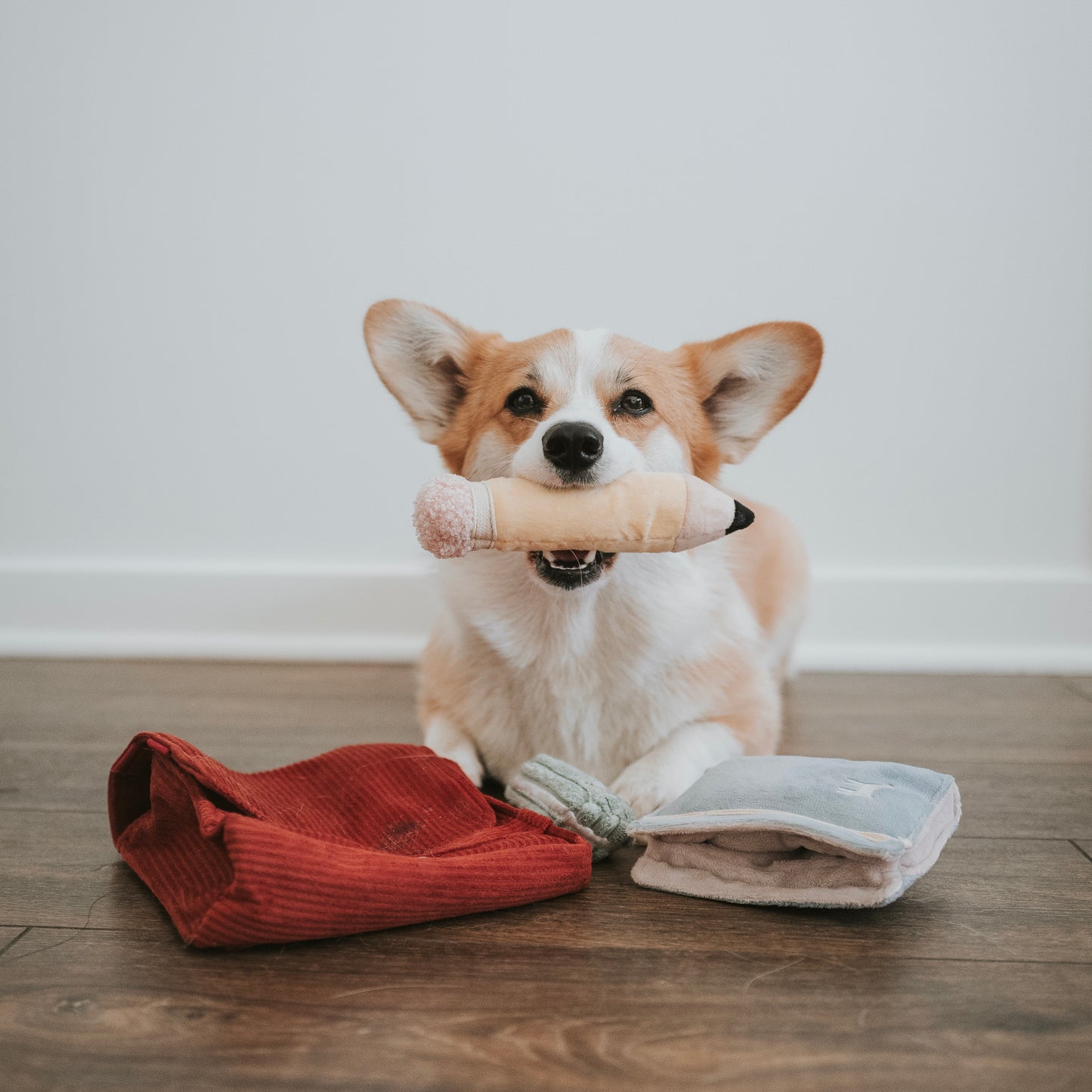 Crayons - Snuffle/Enrichment Toy