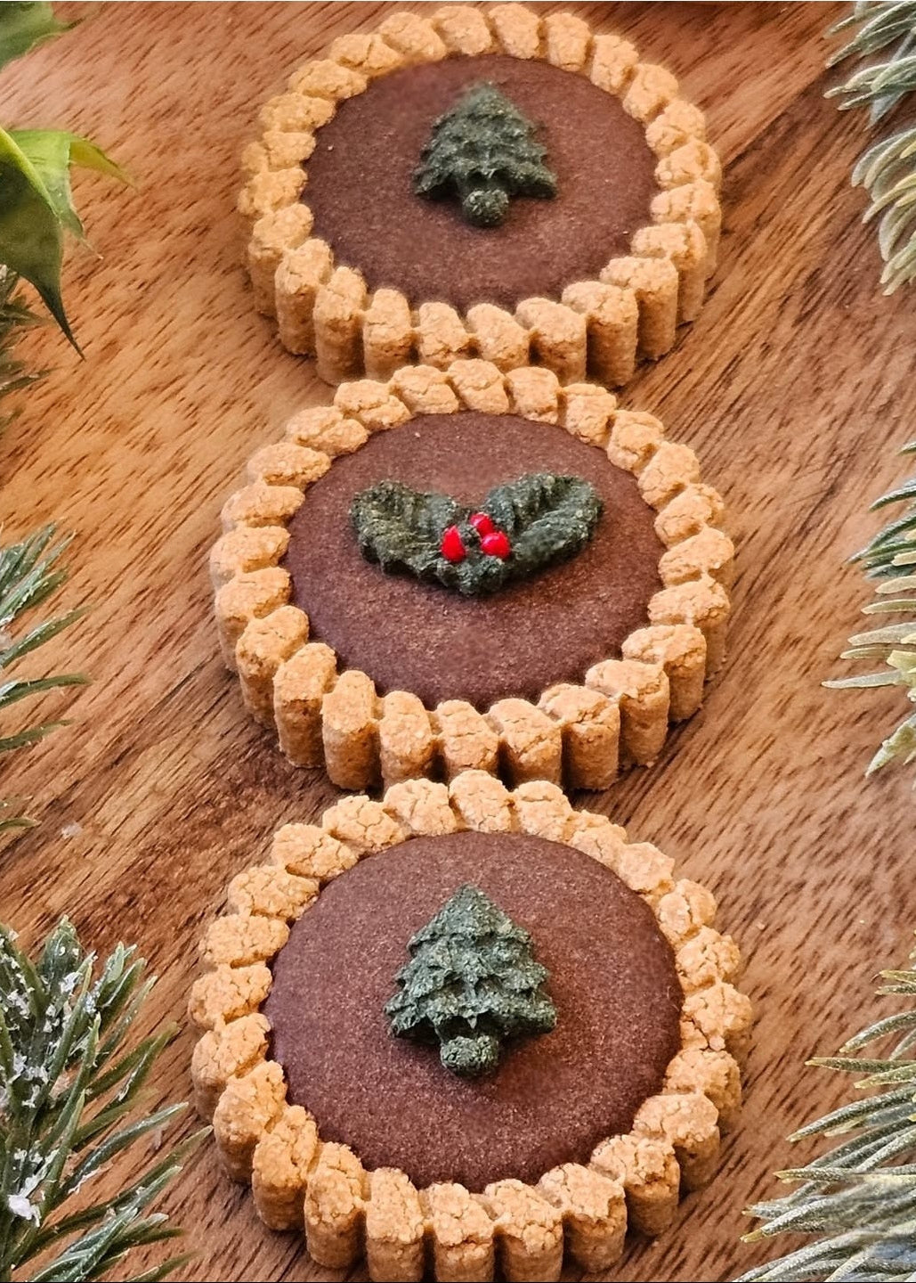 Festive Chocolate Tarts - Dog Biscuits