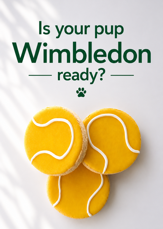 Tennis Balls - Iced Dog Biscuits (x3)