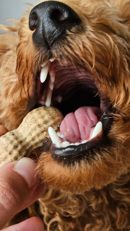 Pup Peanuts - Dog Treats (100g)