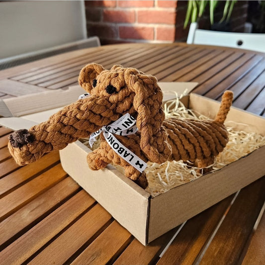 Diego the Dachshund - Award-Winning 100% Cotton Rope Toy
