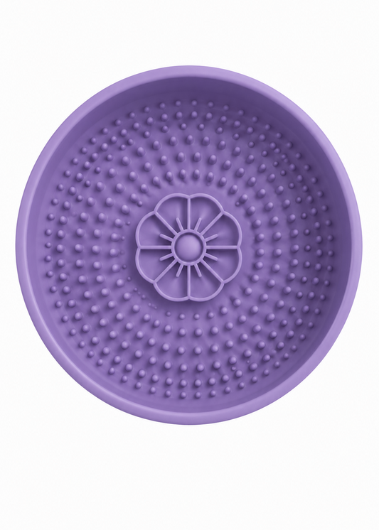 Daisy - Lick Bowl