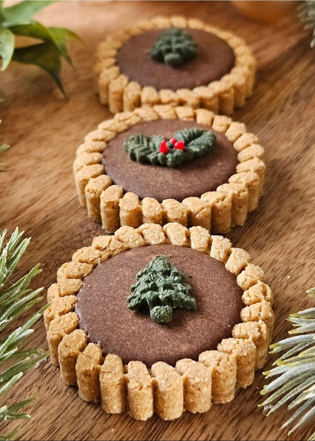 Festive Chocolate Tarts - Dog Biscuits
