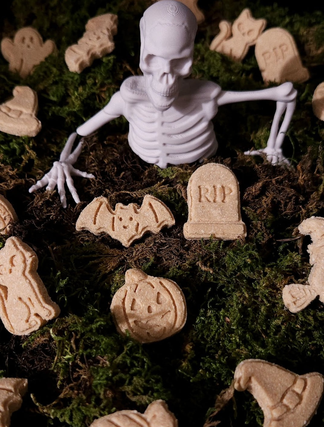 Spooky Minis for Minis - Dog Treats (30g)