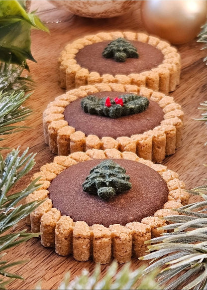 Festive Chocolate Tarts - Dog Biscuits