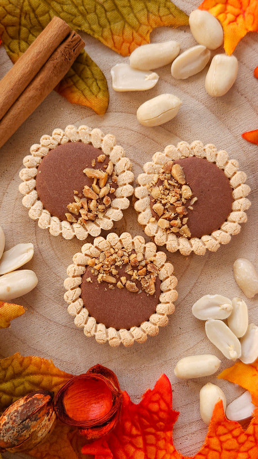 Nutty Choc Tarts - Dog Biscuits (x3)