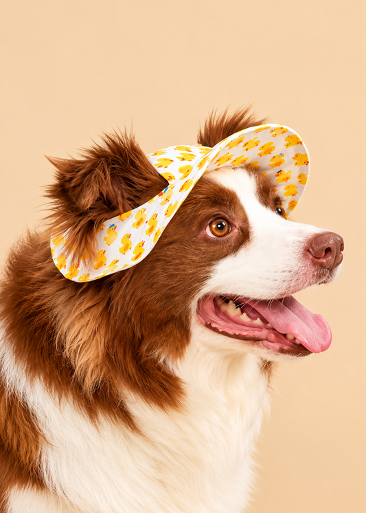 Summer Dog Sun Visor (Size L or M)