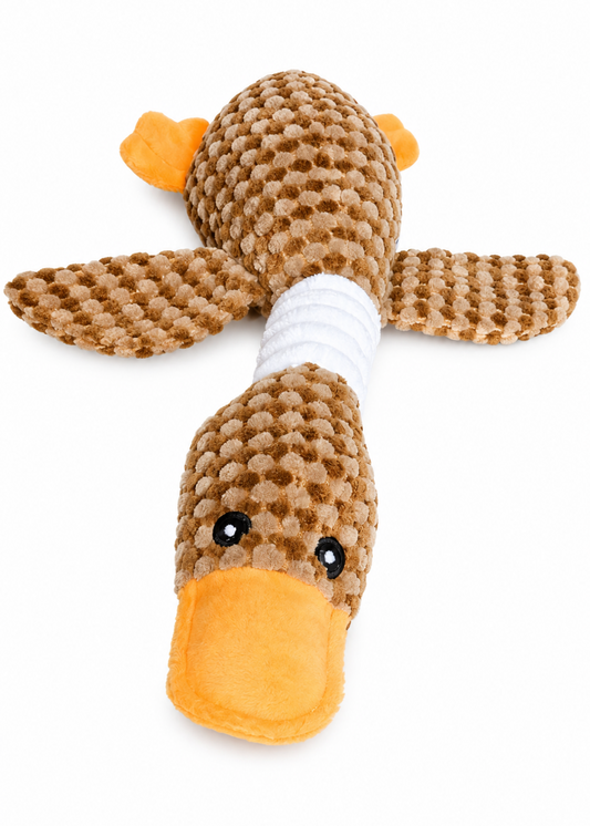 Duck - Squeaky Dog Toy