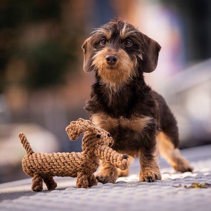 Diego the Dachshund - Award-Winning 100% Cotton Rope Dental Toy