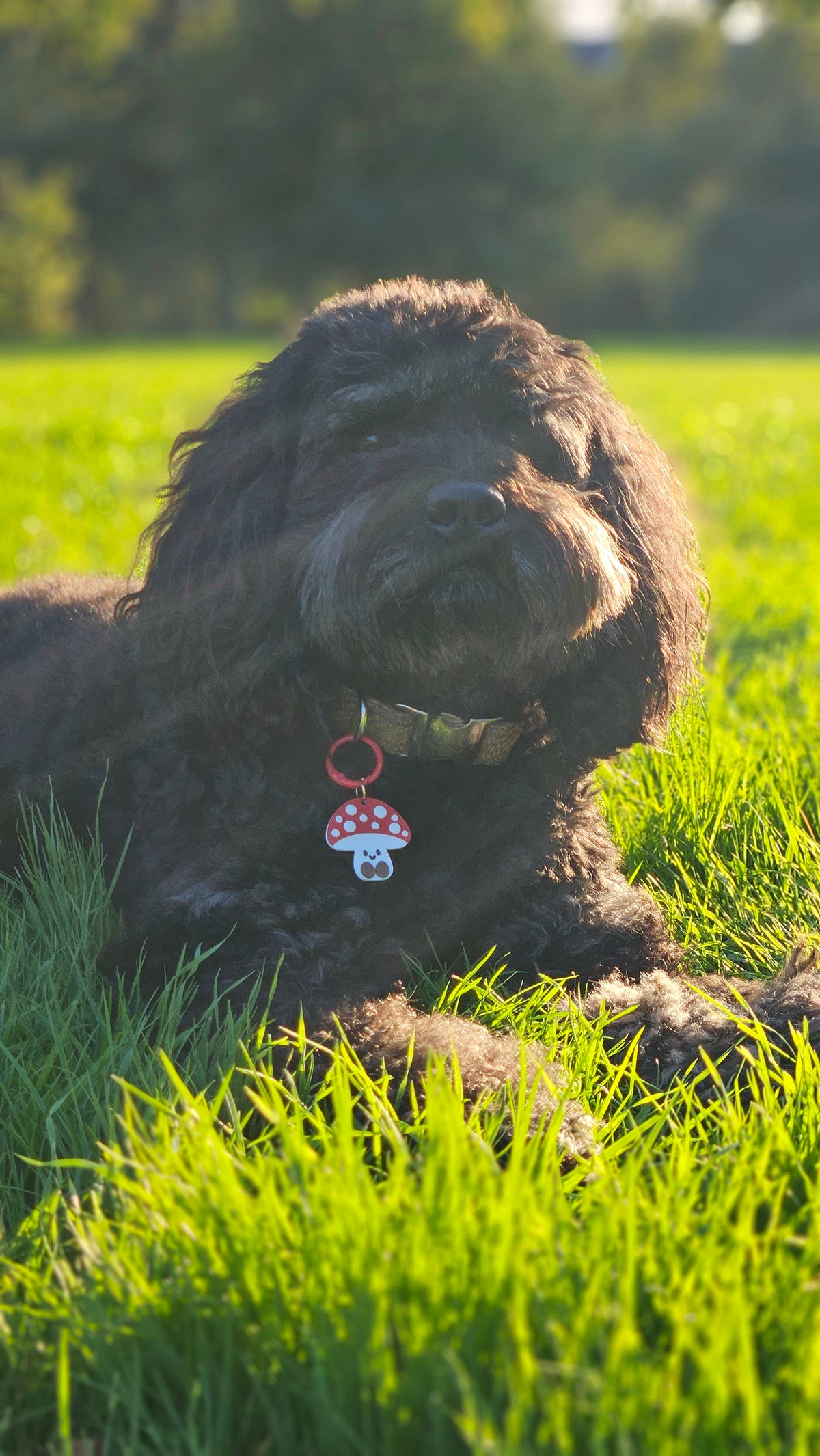 Smiley Toadstool Charm (Personalised) - Made By Fluffy Fluff Charmery