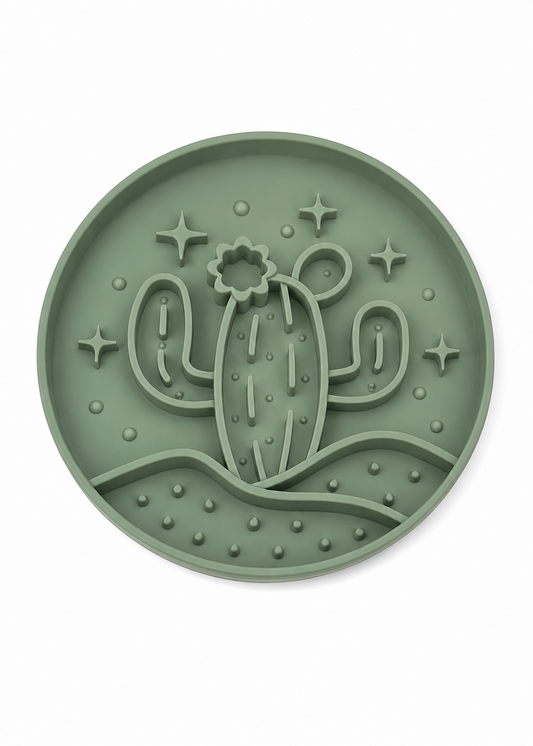 Cactus - Enrichment Bowl