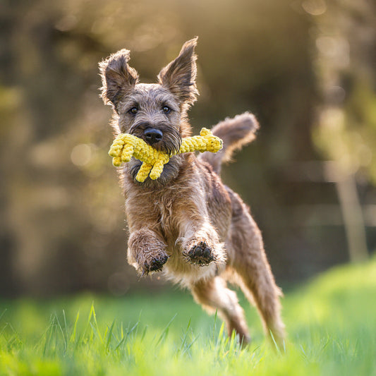 Greta the Giraffe - Award-Winning 100% Cotton Rope Dental Toy