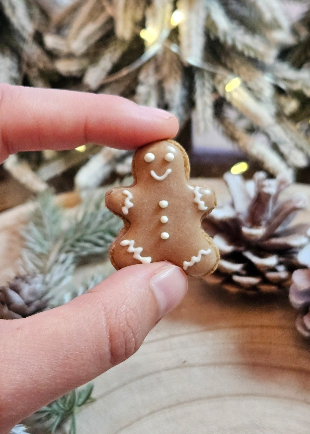 Mini Gingerbread Man - Dog Treats (65g) | (Jar Not Included)