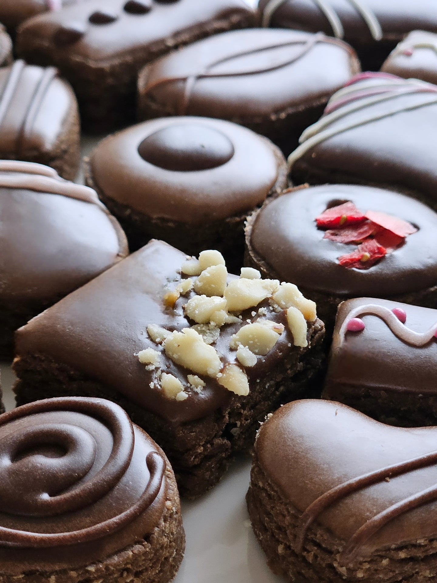 Pup Chocolates - Biscuit Set (8 Biscuits In A Metal Tin)