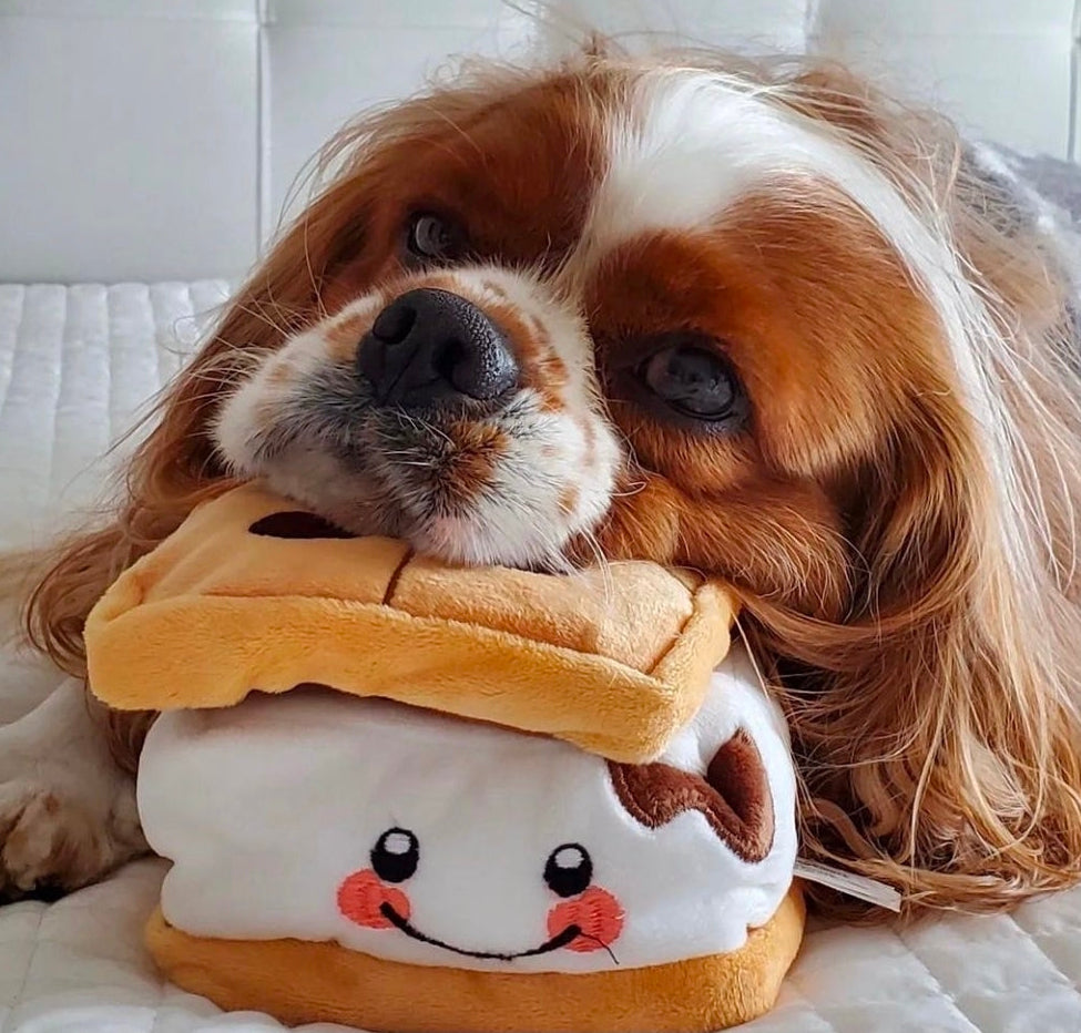 S’more - 3-Piece Enrichment/Snuffle Toy