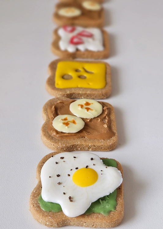 Dog Cookies (x6) - Pup Toasts