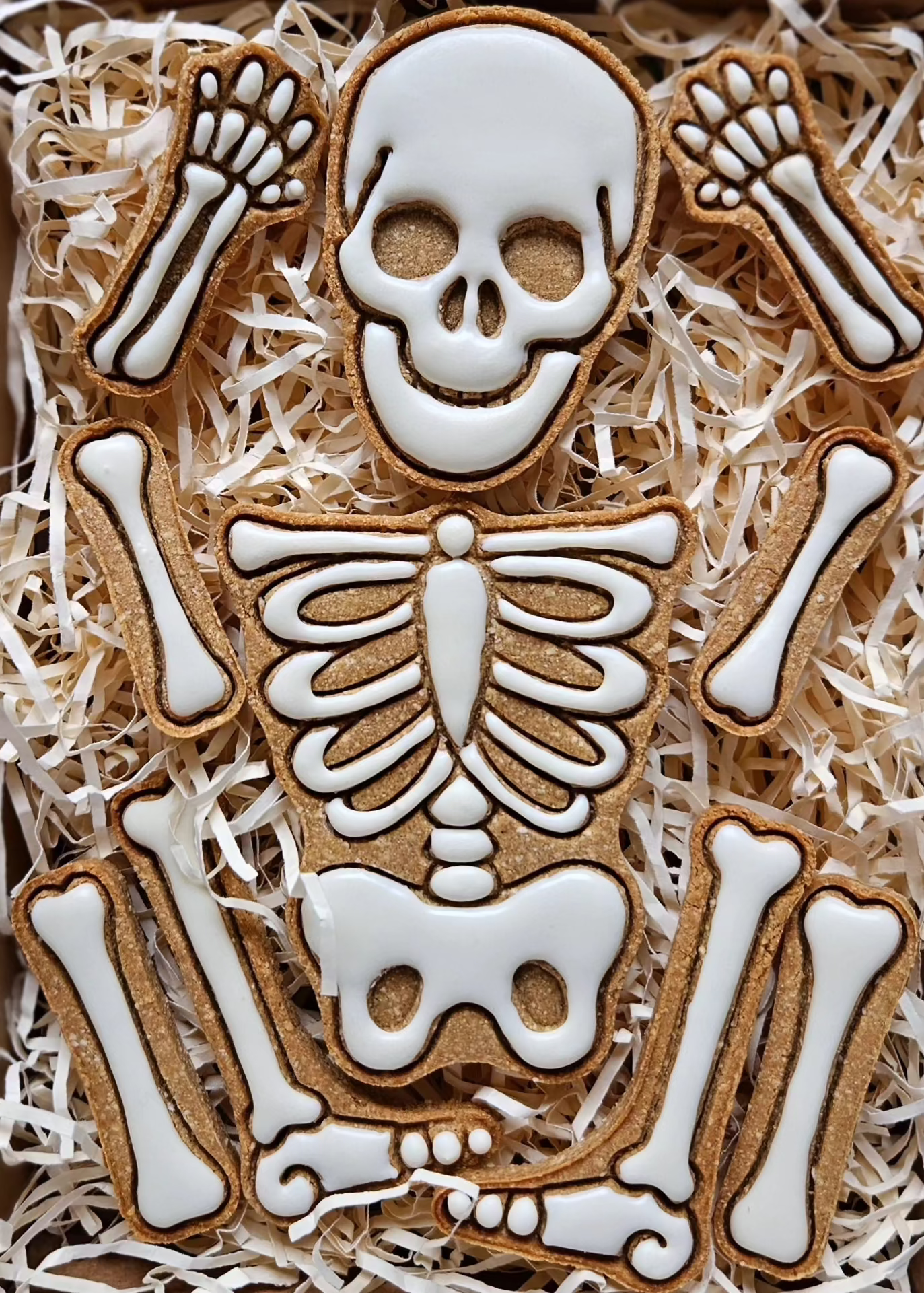 Skeleton - Dog Biscuits Set