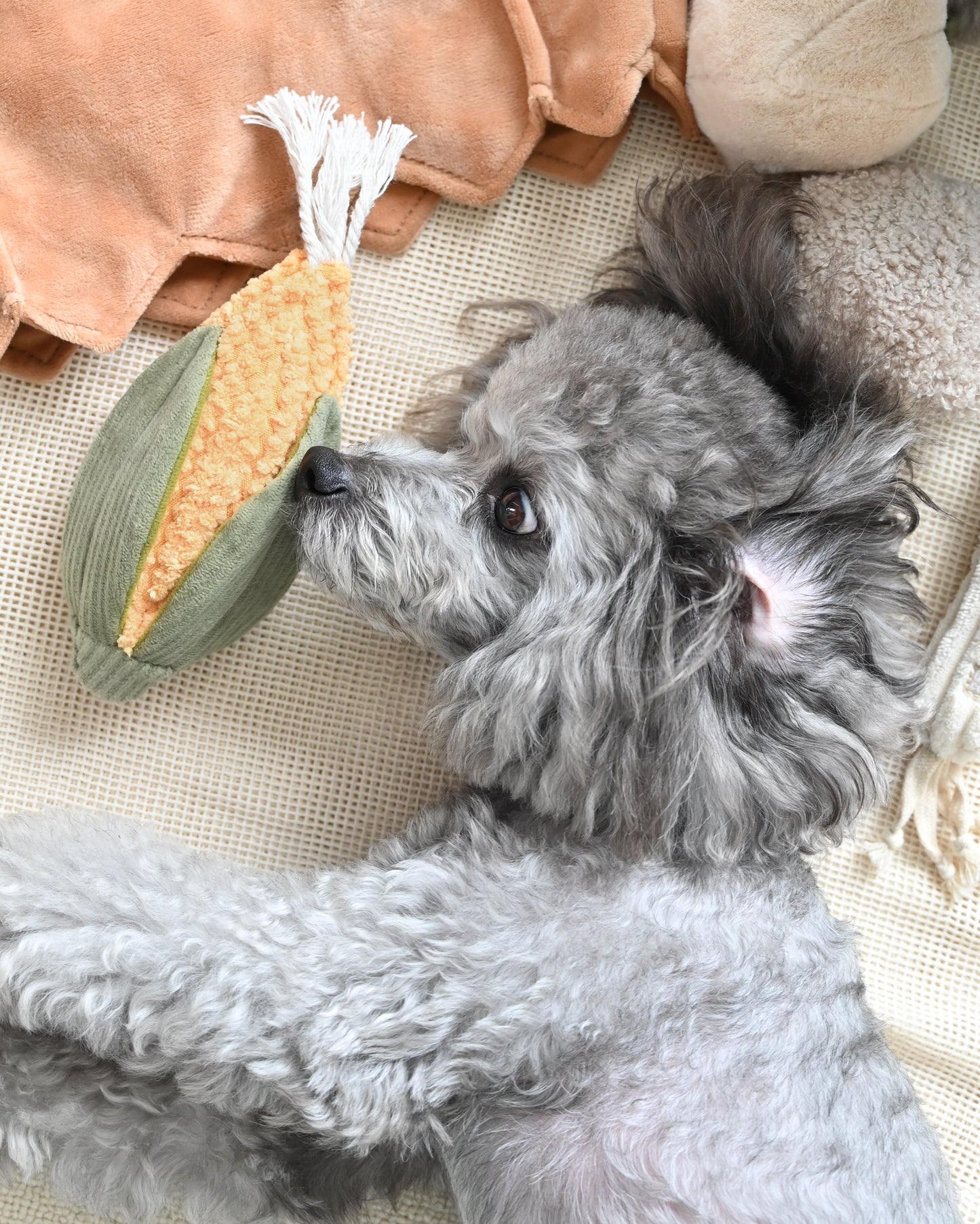 Small Corn & Leek Set - Enrichment/Snuffle Toys