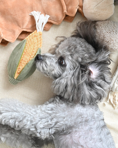 Small Corn & Leek Set - Enrichment/Snuffle Toys