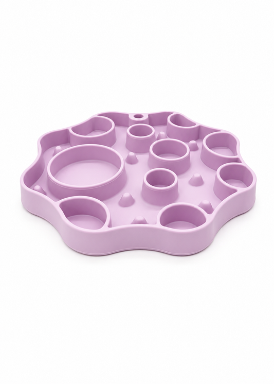 Cosmic Craters - Enrichment Bowl