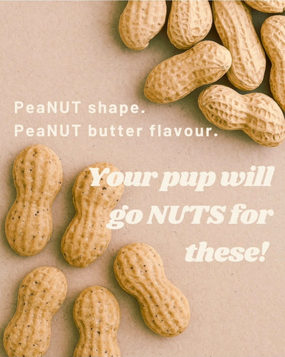 Pup Peanuts - Dog Treats (100g)