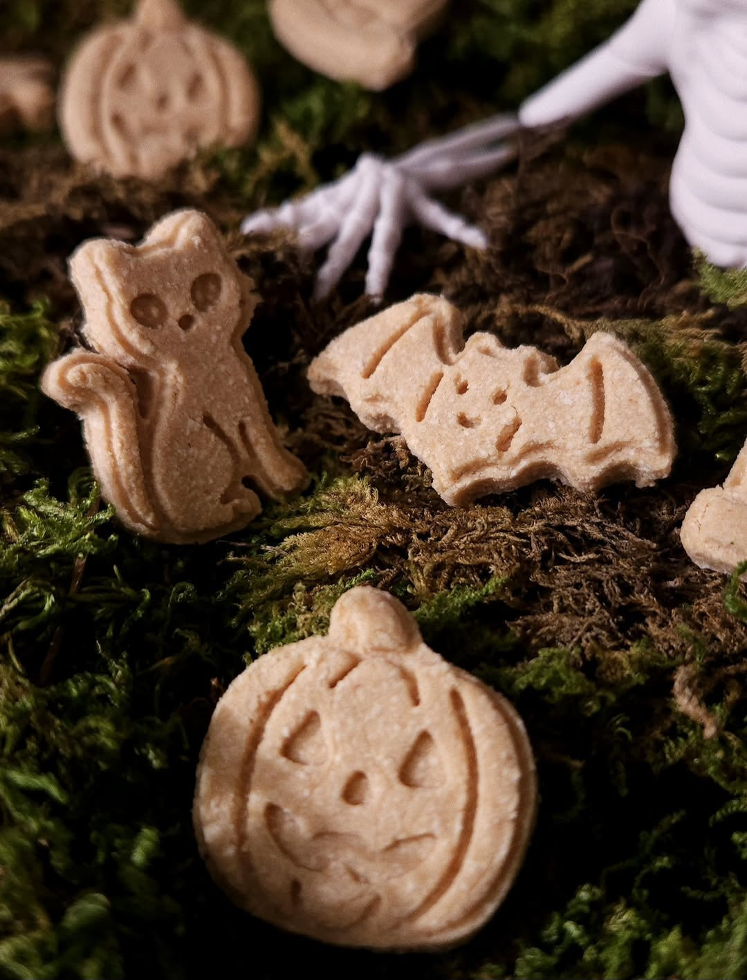 Spooky Minis for Minis - Dog Treats (30g)