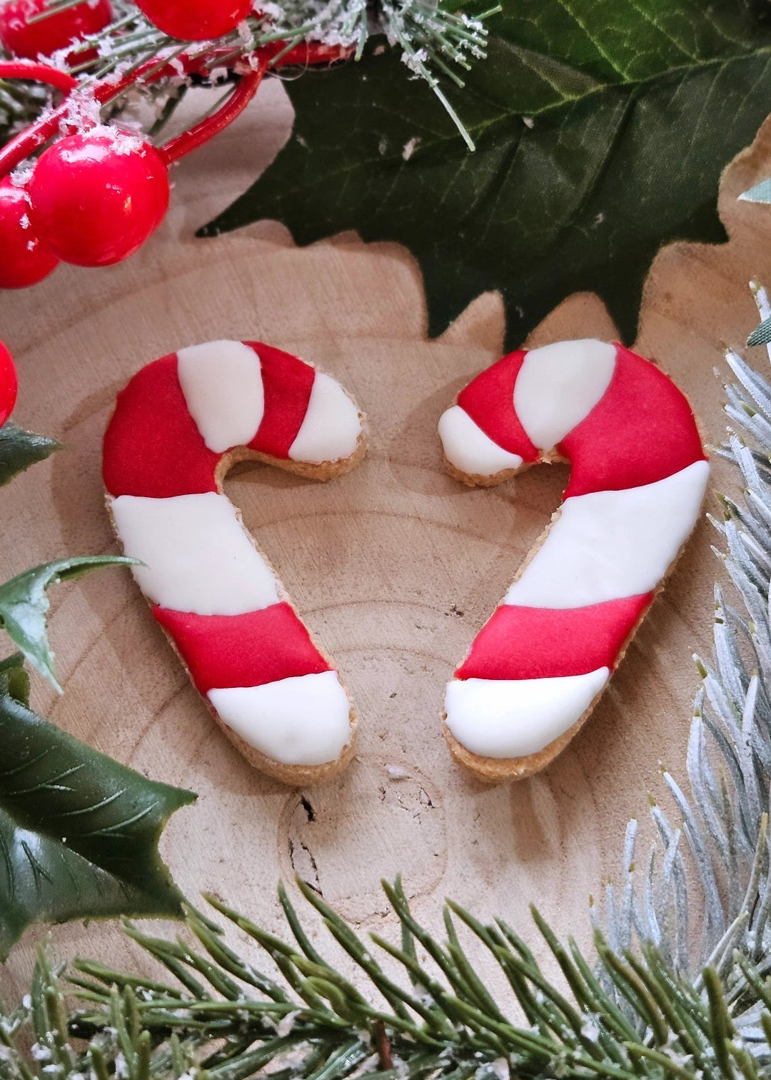 Festive Iced Dog Biscuits - Candy Canes (x2)