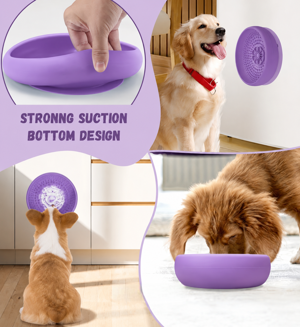 Daisy - Lick Bowl