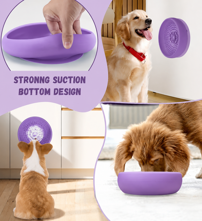 Daisy - Lick Bowl
