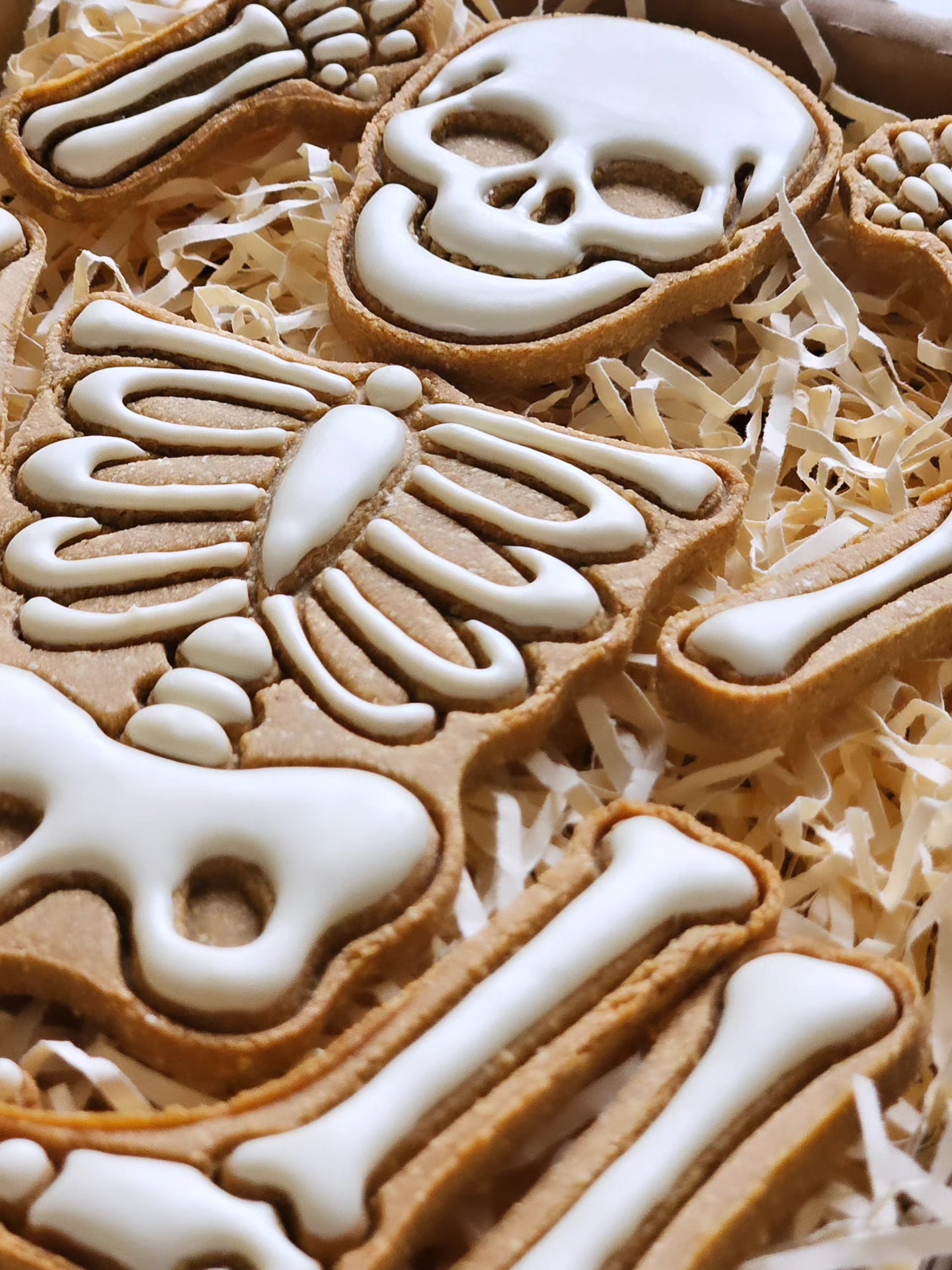 Skeleton - Dog Biscuits Set