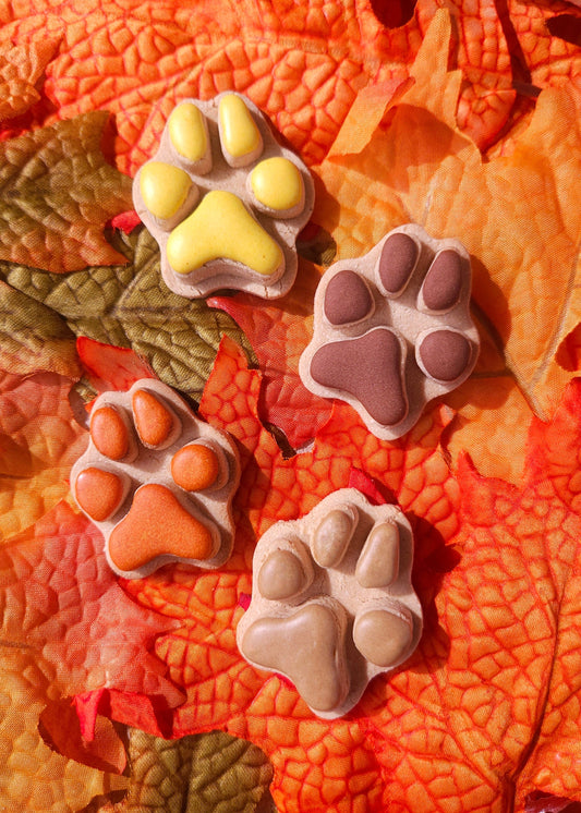 Autumn Paws - Dog Biscuits